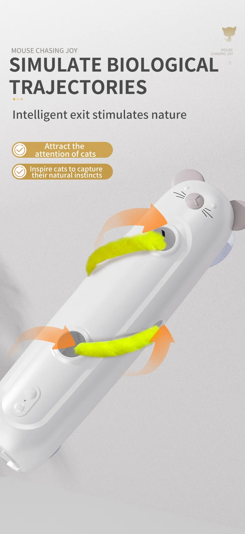 Interactive Caterpillar Cat Toy