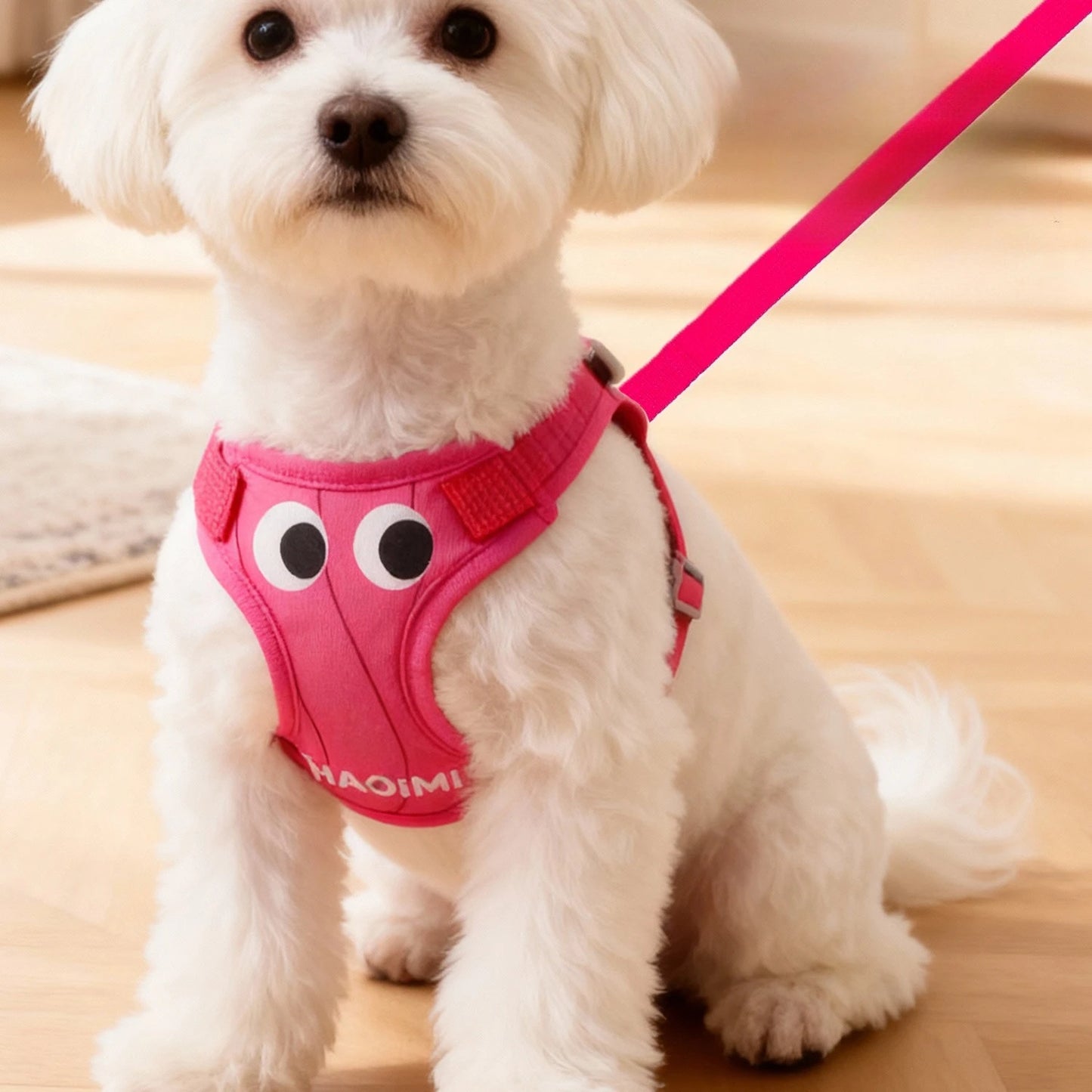 Breathable Reflective Dog Harness & Leash Set for Small Dogs
