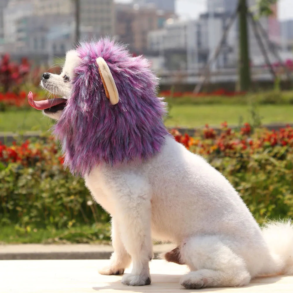 Lion Mane Wig for Cats & Small Dogs – Fancy Dress Costume