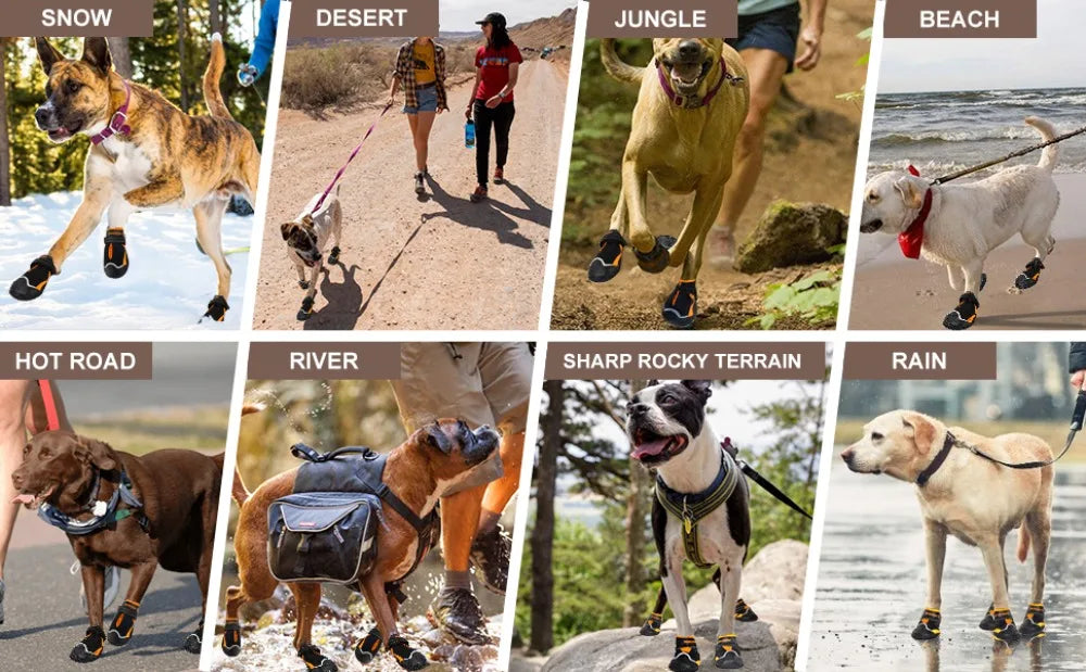 Waterproof Dog Boots for All Weather | Hot Pavement, Snow & Hiking | Set of 4