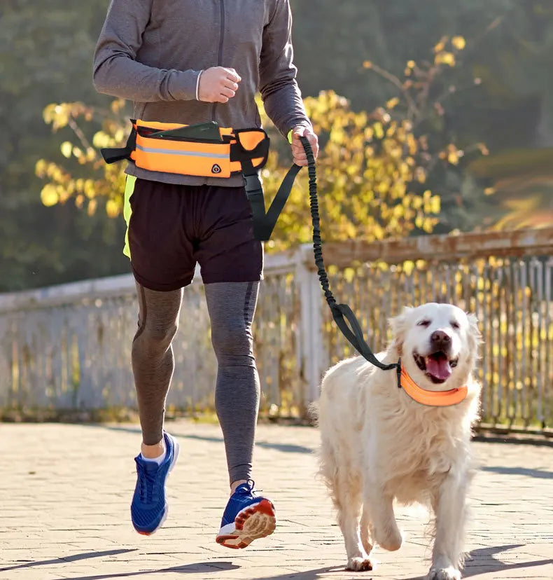 Laisse pour chien mains libres avec ceinture réfléchissante et pochette de rangement