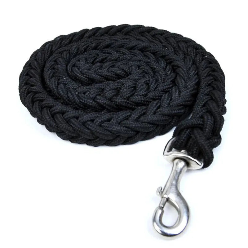 Laisse pour chien en nylon robuste (130 cm)