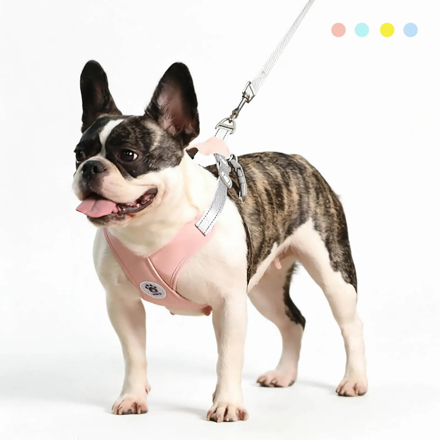 X-Shape Escape-Proof Dog Harness Vest with Leash