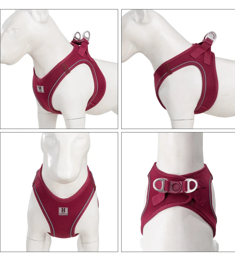 Reflective Dog & Cat Harness with Leash Set