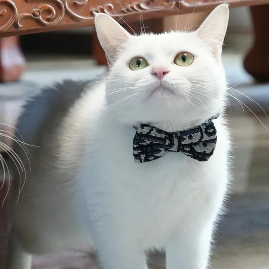 Fashion Cat Harness & Leash Set - Detachable Collar with Bowknot for Kittens