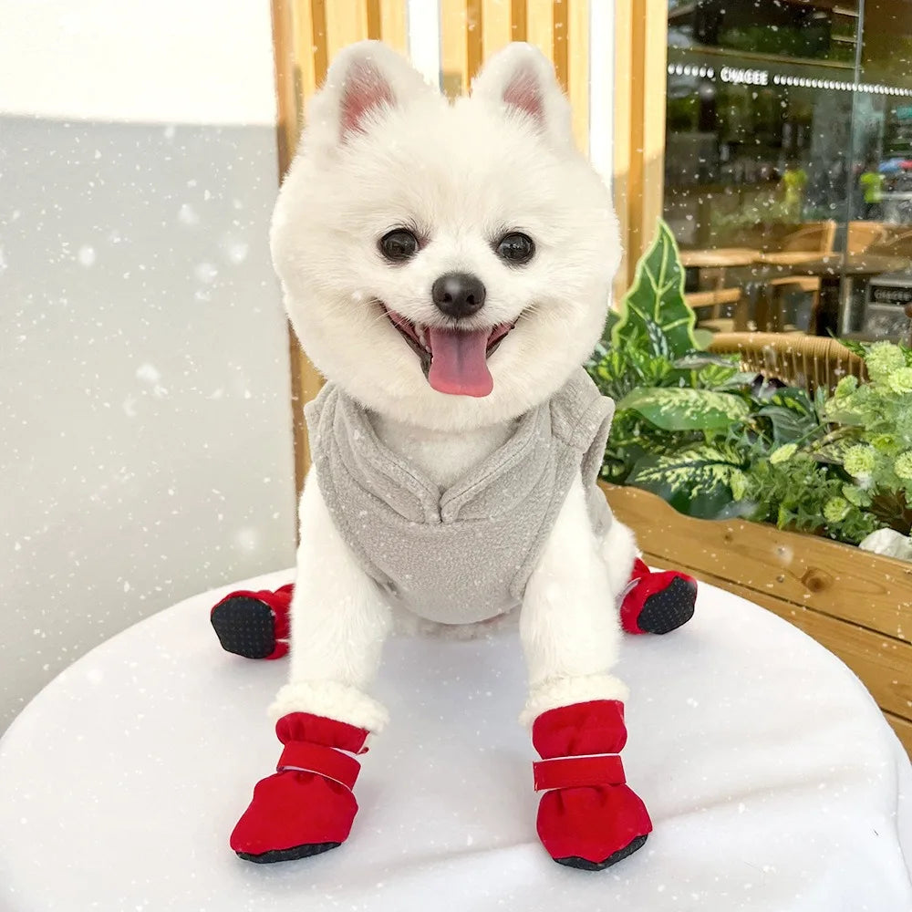 Bottes antidérapantes d'hiver pour chiens | Lot de 4 pour petits et moyens chiens et chats