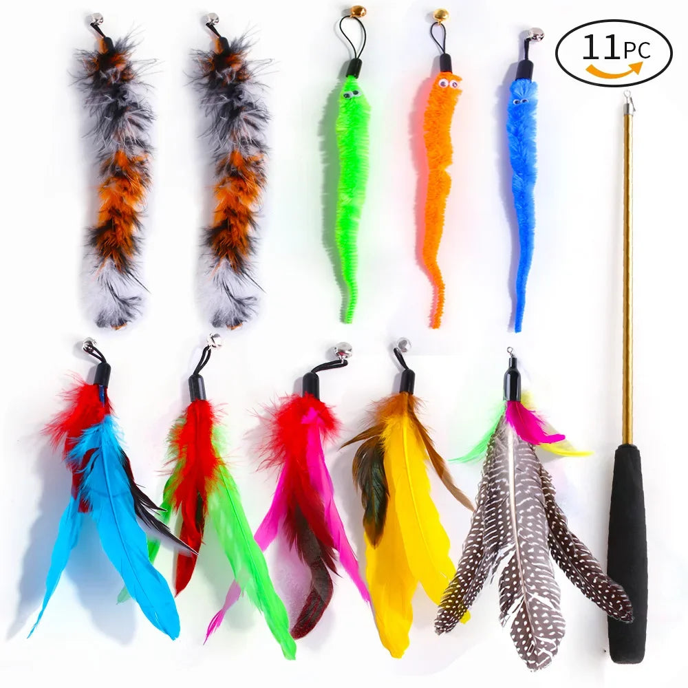 Ensemble de jouets rétractables pour chat