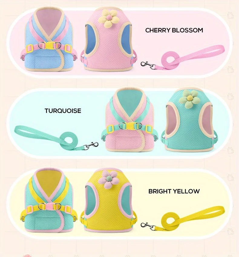 Breathable Mesh Pet Harness and Leash Set