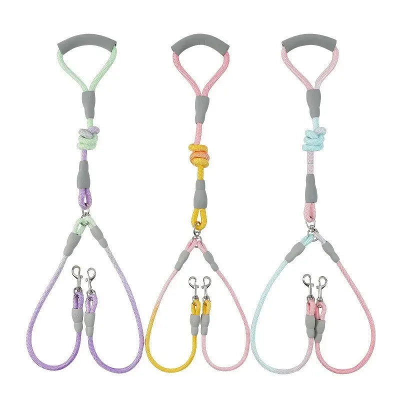 Ensemble complet de collier, harnais et laisse pour chien de qualité supérieure