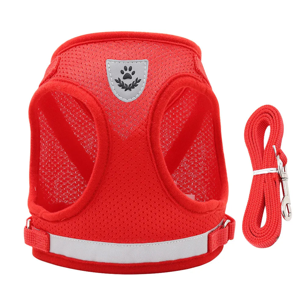 Ensemble harnais et laisse anti-évasion pour animaux de compagnie – Gilet en maille réfléchissante pour chats et petits chiens