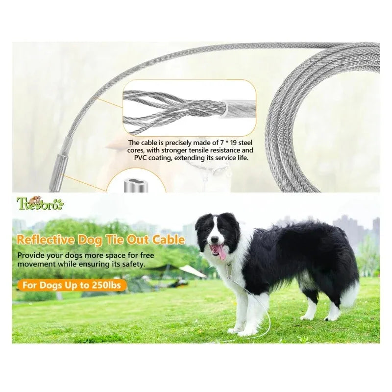 Laisse pour chien, harnais pour chiot, petit collier pour chien, colliers, harnais, laisses, colliers, harnais et sangles