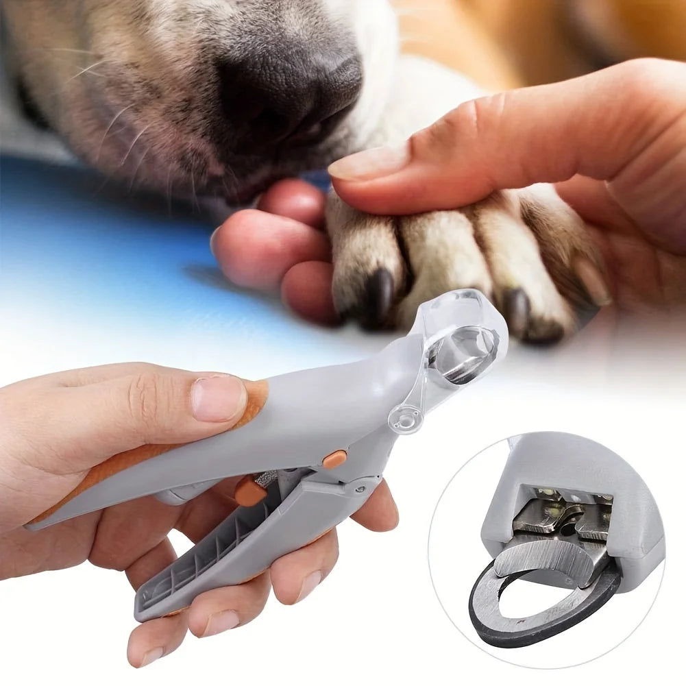 Coupe-ongles professionnel pour animaux de compagnie - Ciseaux en acier inoxydable pour chiens et chats