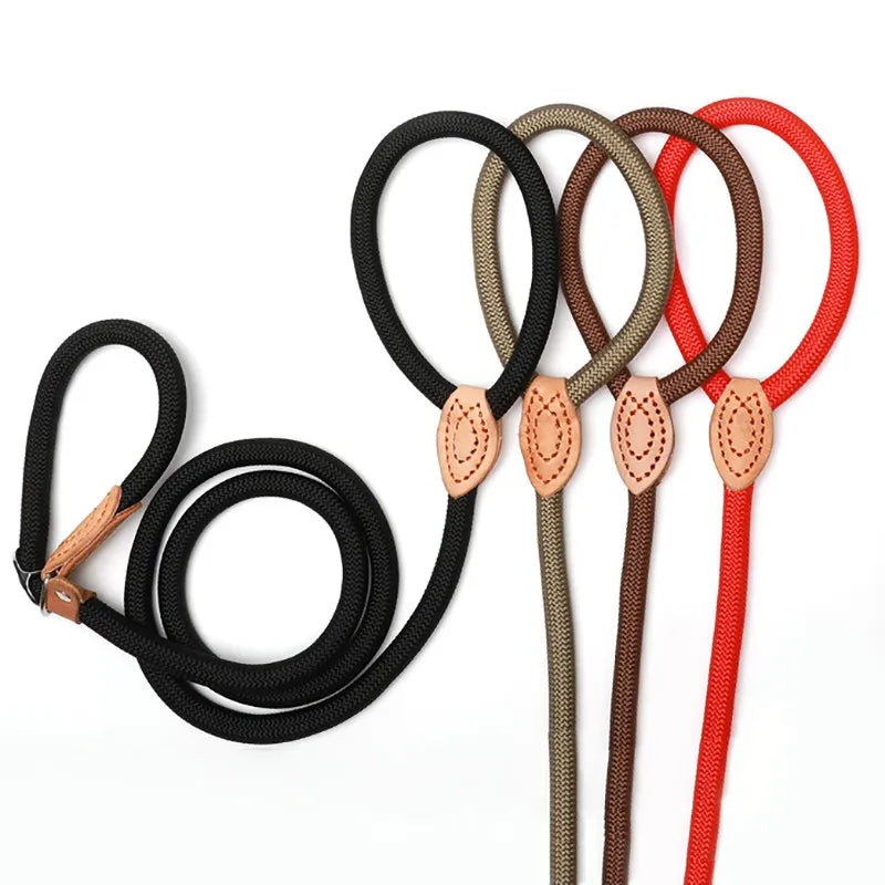 Laisse-collier chien - Corde tressée robuste avec boucle réglable pour grands chiens