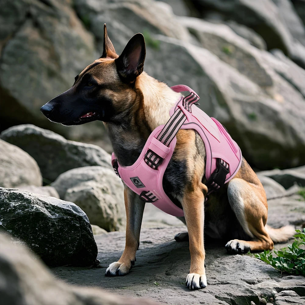 No-Pull Dog Vest Harness with Handle & Reflective Straps