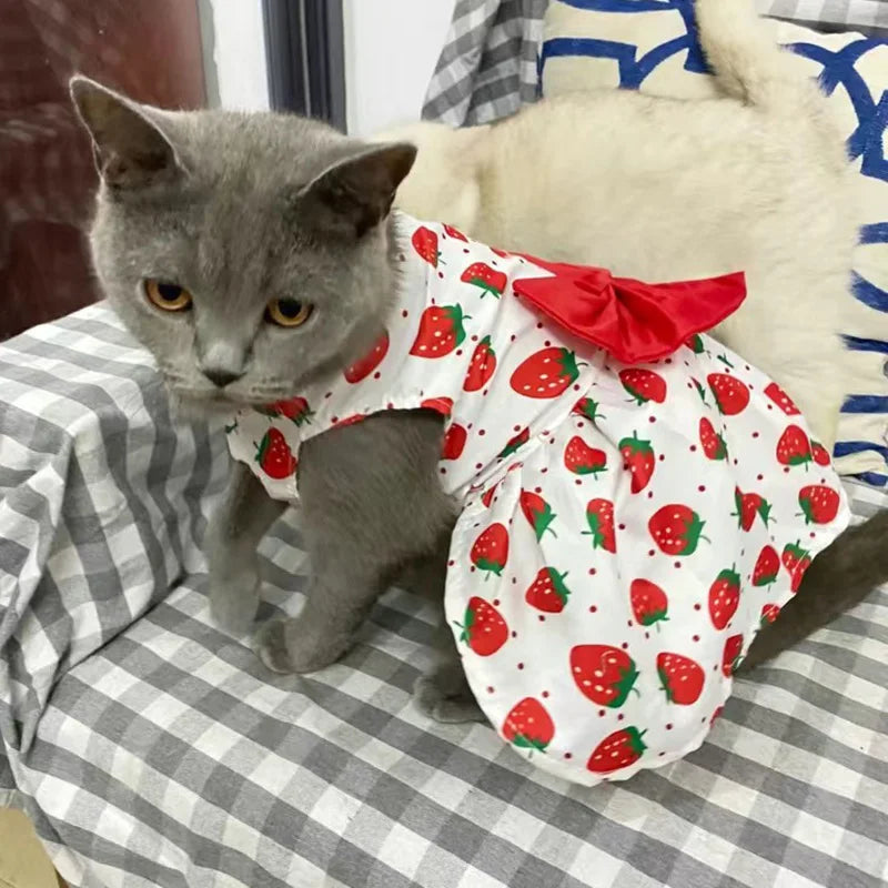 Fruit & Floral Print Bow Dress for Cats & Small Dogs