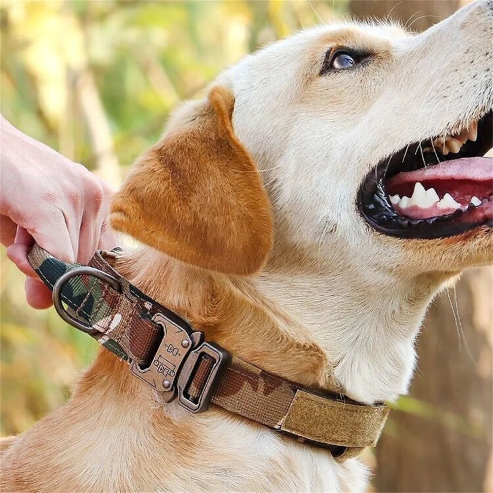Durable Nylon Dog Collar & Leash Set for Large Dogs