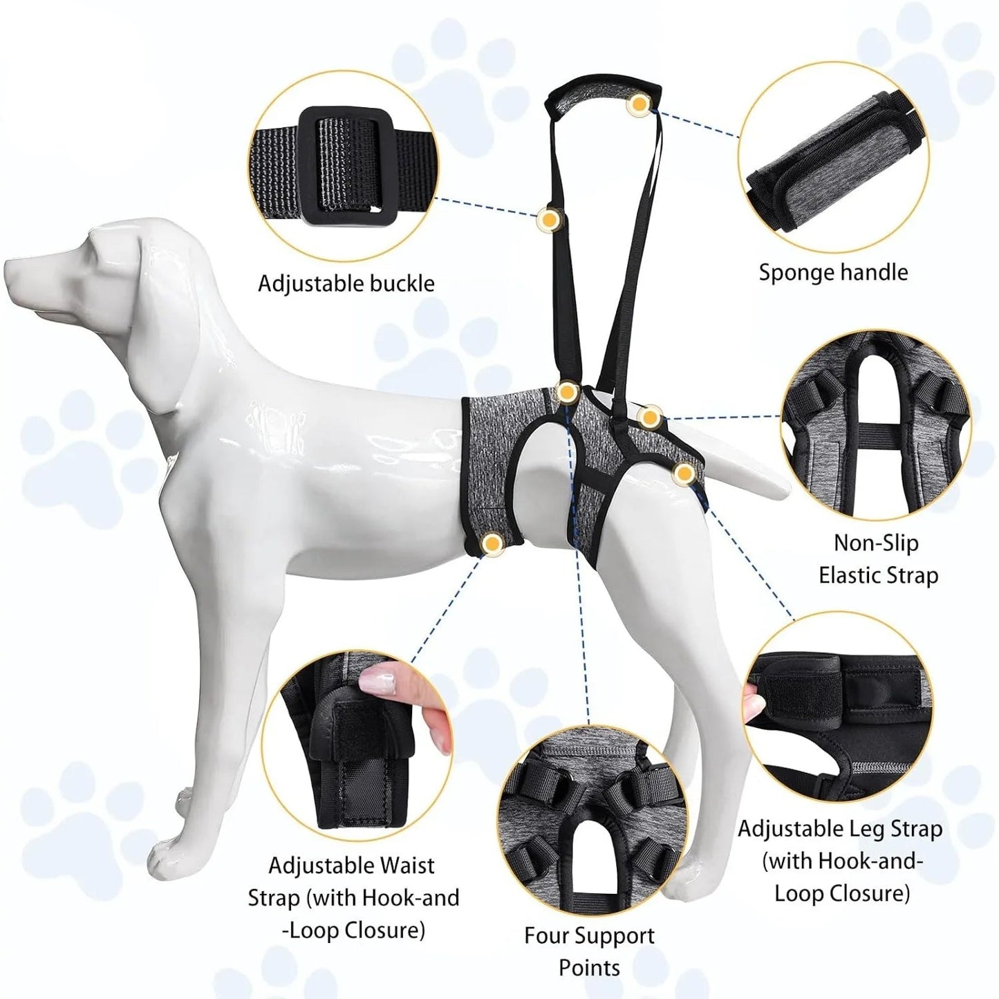 Hind Leg Support Dog Sling for Large & Senior Dogs | Adjustable Mobility Aid