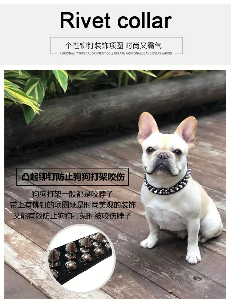 PU Leather Punk Rivet Spiked Collar for Small Dogs & Cats