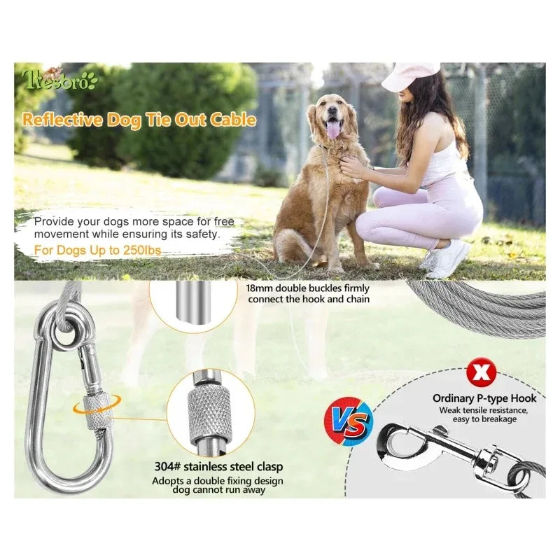 Laisse pour chien, harnais pour chiot, petit collier pour chien, colliers, harnais, laisses, colliers, harnais et sangles