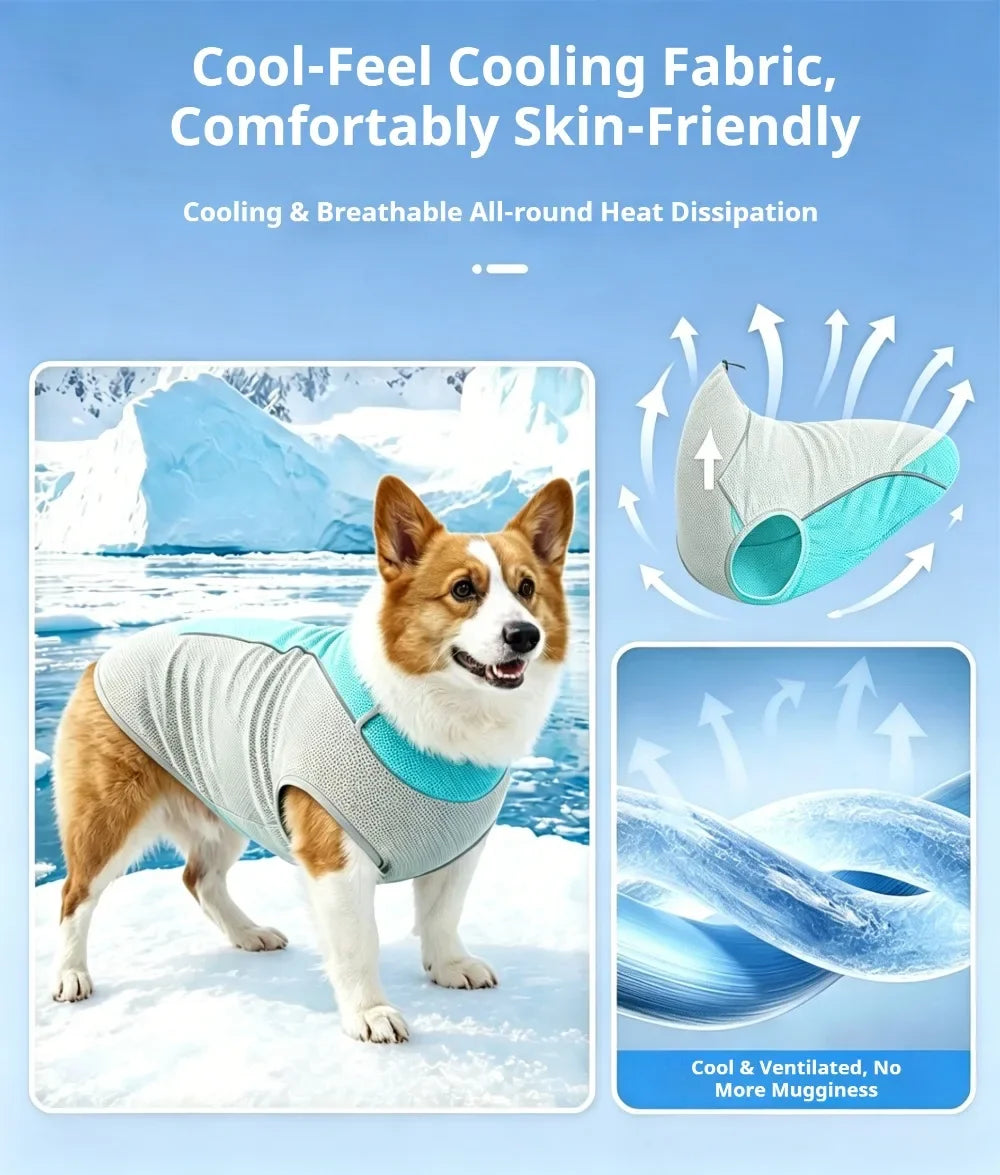 Ice Pack Cooling Vest for Small & Medium Dogs