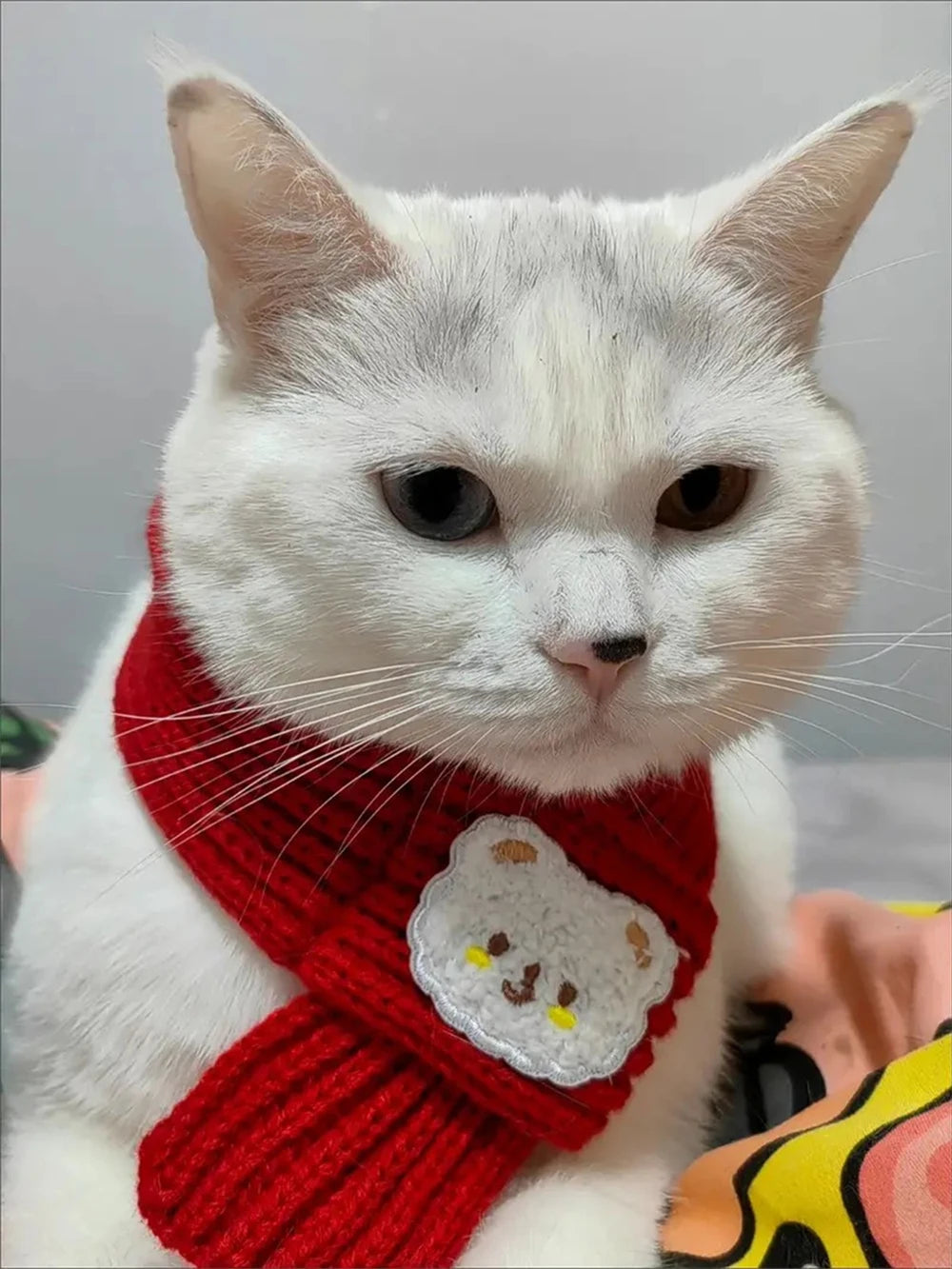 Printed Neck Scarf for Cats & Small Dogs