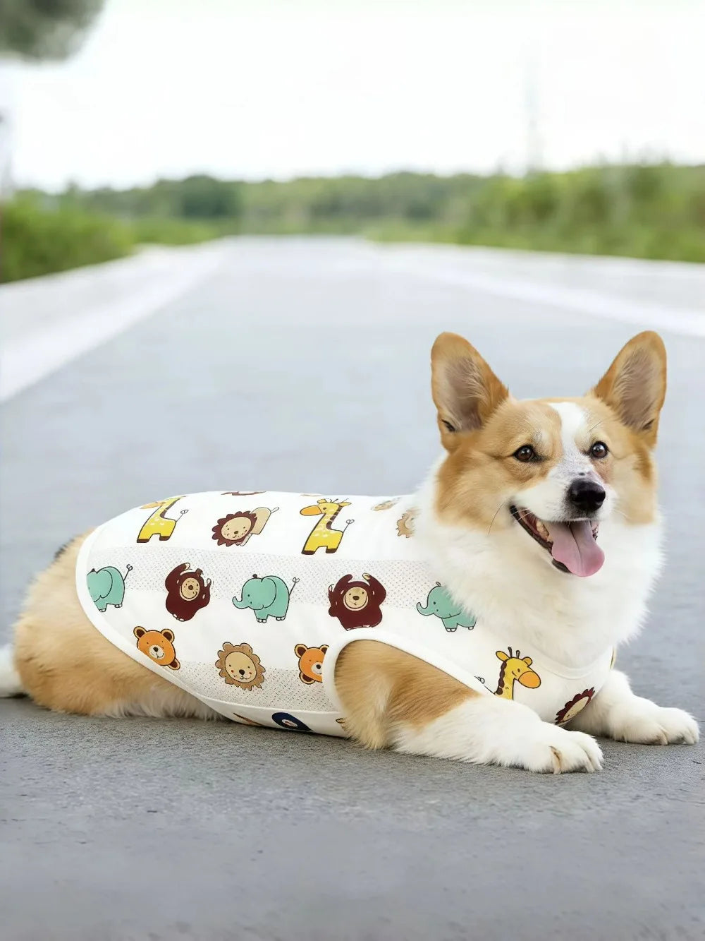 Breathable Mesh Cooling Vest for Dogs