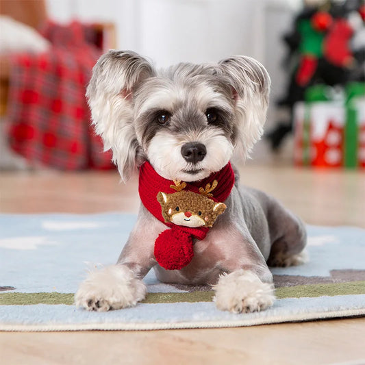 Christmas Cartoon Scarf for Dogs & Cats | Reindeer, Santa & Snowman Designs
