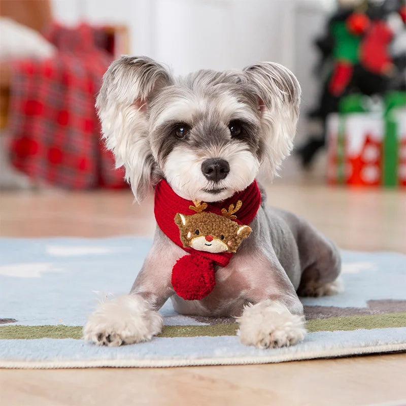 Pull, sweat à capuche et écharpe de Noël pour animaux de compagnie — Vêtements chauds et festifs pour chiens et chats