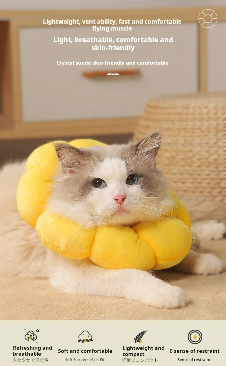 Collerette de protection tournesol – Cône élisabéthain en coton doux pour chats et chiens