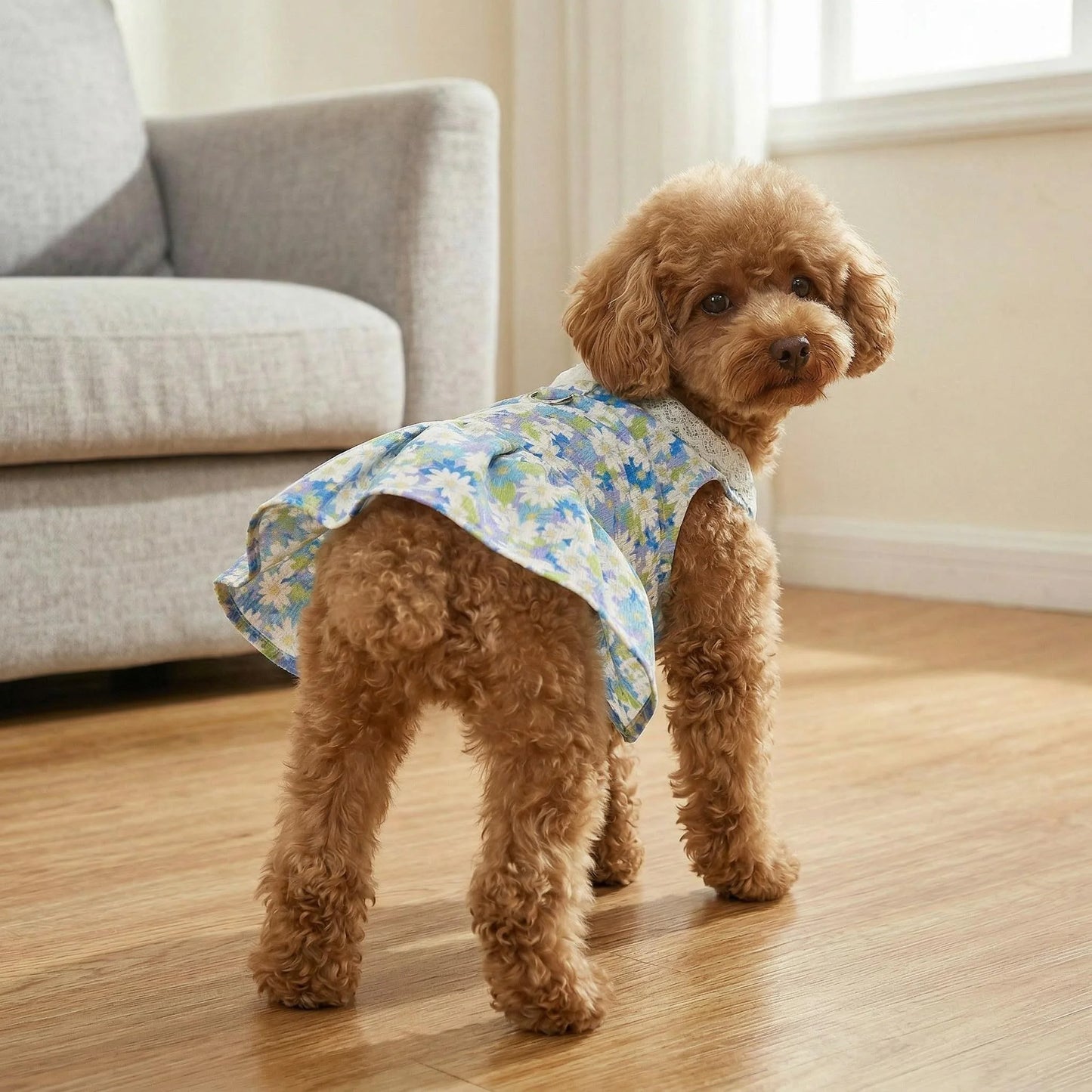 Princess Cooling Dress for Small Dogs & Cats with Leash Ring
