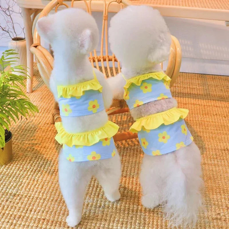 Dog Bikini & Swim Cap Set
