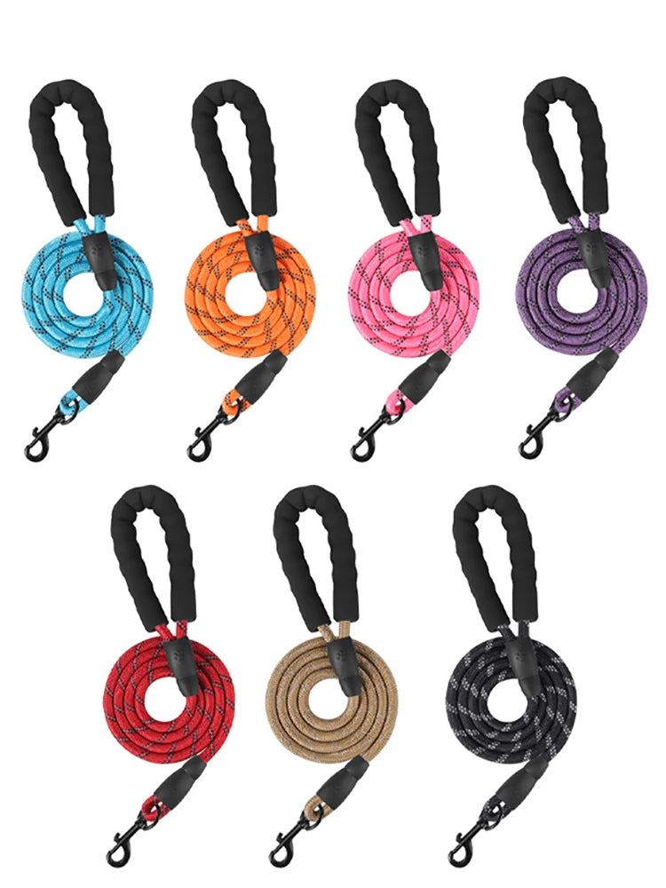 Reflective Dog Leash with Poop Bag Dispenser