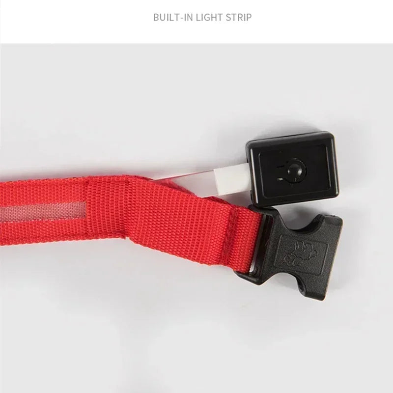 Collier lumineux LED pour chien - Réglable, clignotant, rechargeable - Collier lumineux pour la sécurité nocturne - Harnais lumineux anti-perte pour chien