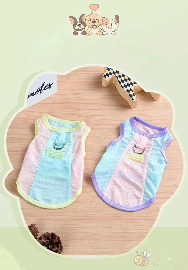 Gilet rafraîchissant réfléchissant et t-shirt d'été pour chiens et chats de petite, moyenne et grande taille