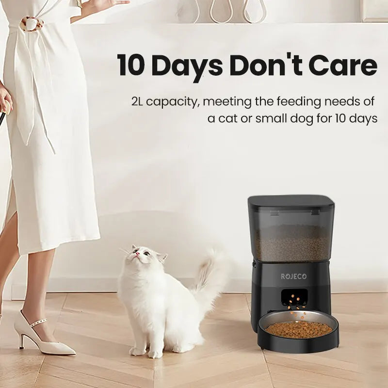 Distributeur automatique de croquettes pour animaux de compagnie version bouton, accessoires de distributeur de nourriture intelligent pour chats et chiens, nourriture sèche