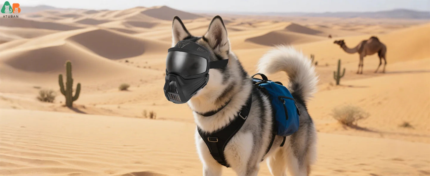 Lunettes pour chien avec écran facial – Masque réglable pour grandes races