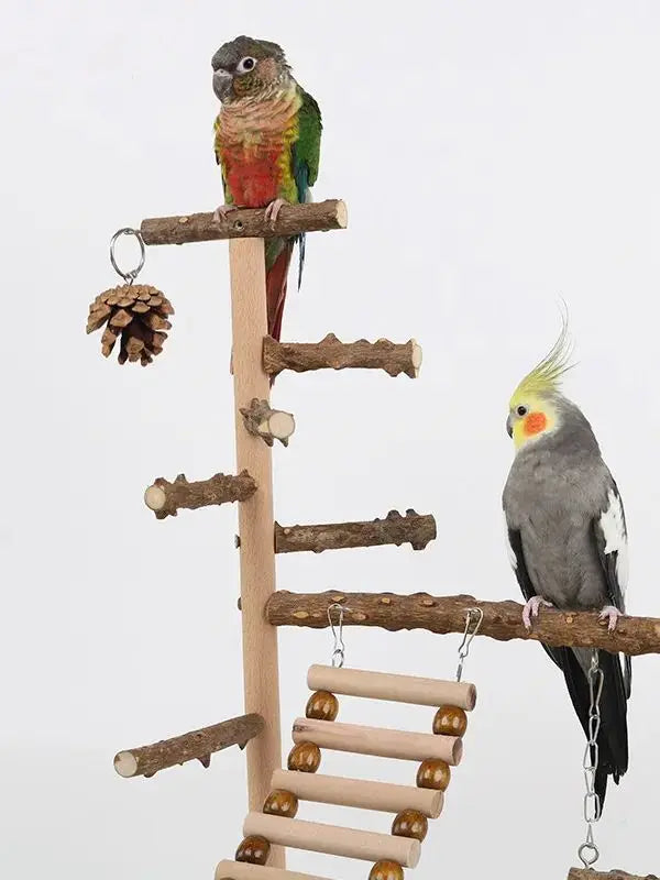 Perchoir d'escalade en bois naturel pour perroquets avec balançoire, échelle et pont suspendu