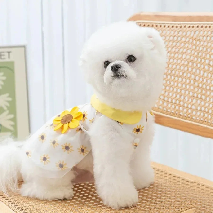 Robe d'été pour chien - Vêtements mignons pour petits chiens et chiots