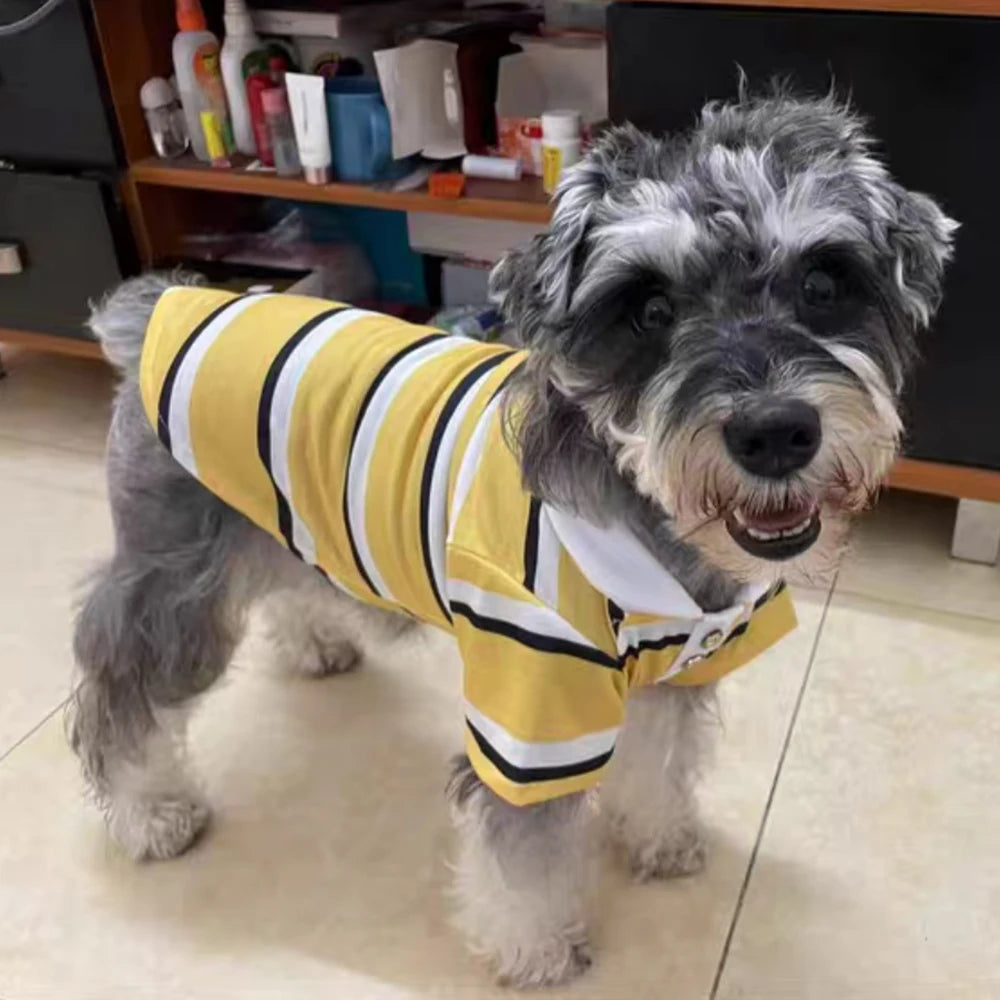 Classic Stripe Polo Shirt for Cats & Small Dogs