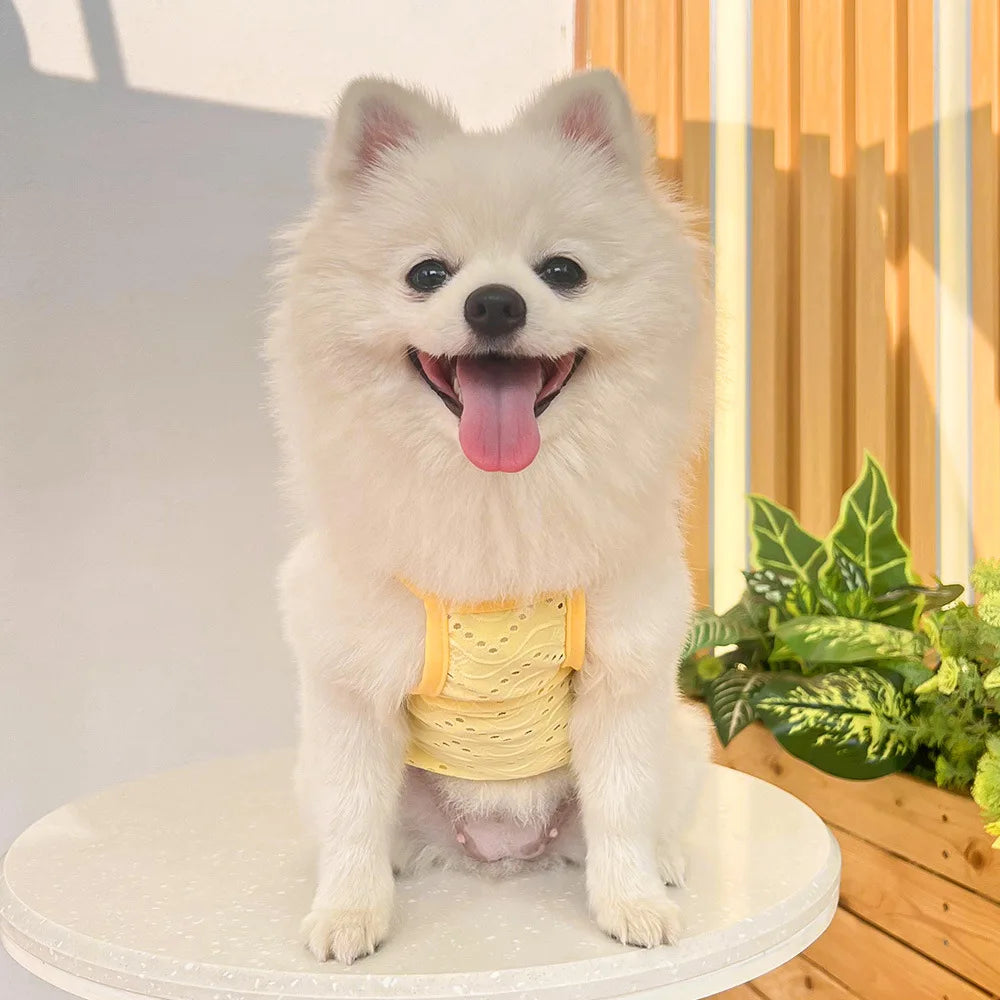 Breathable Dog Vest for Spring and Summer