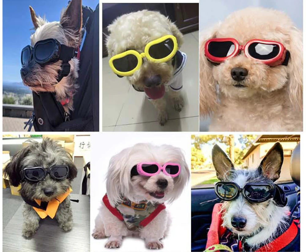 UV & Windproof Sunglasses Goggles for Small Dogs & Cats