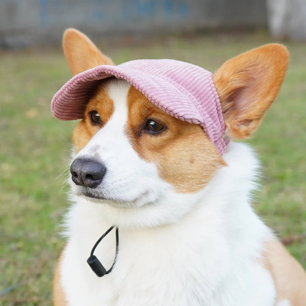 Pet Baseball Cap with Ear Holes | Adjustable Summer Sport Hat for Dogs & Cats