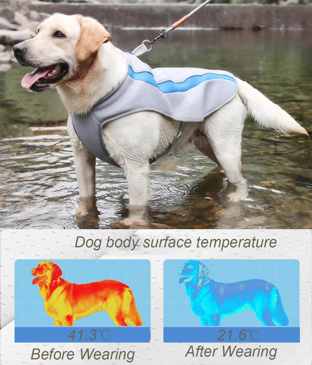 Water-Cooling Vest for Large Dogs