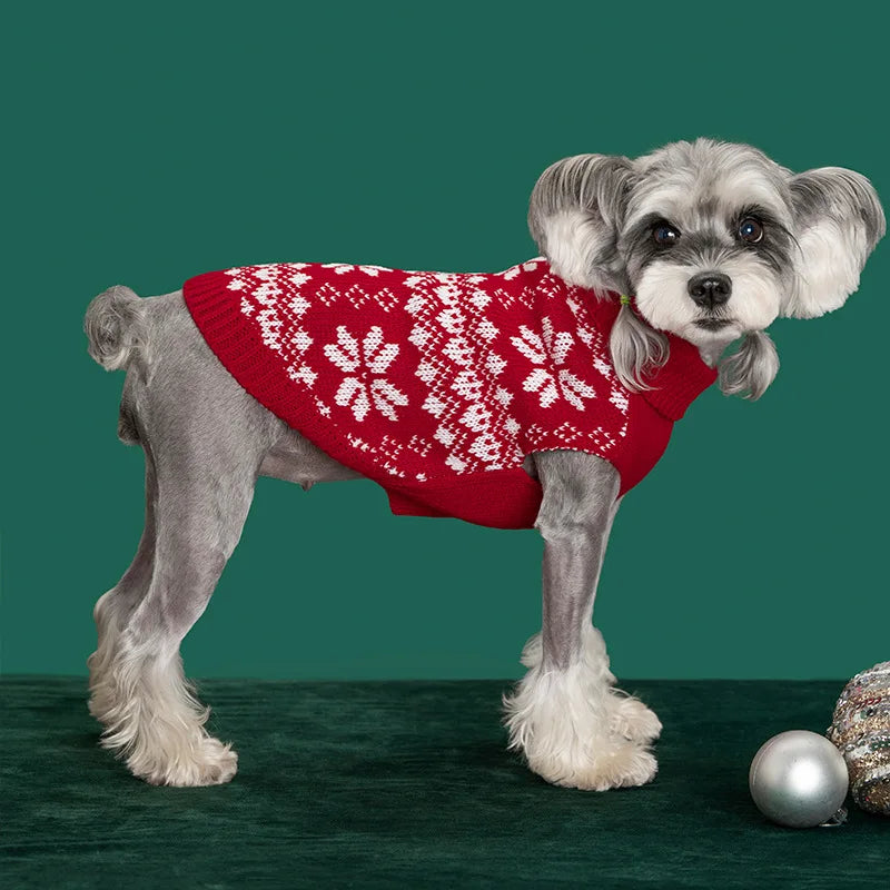 Pull, sweat à capuche et écharpe de Noël pour animaux de compagnie — Vêtements chauds et festifs pour chiens et chats