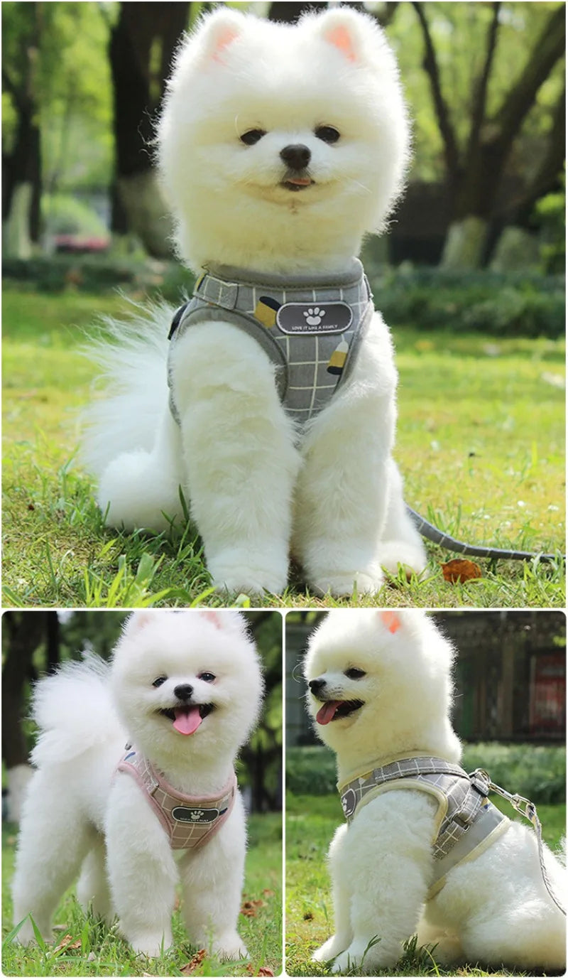 Adjustable Reflective Vest Harness & Leash Set for Small Dogs & Cats