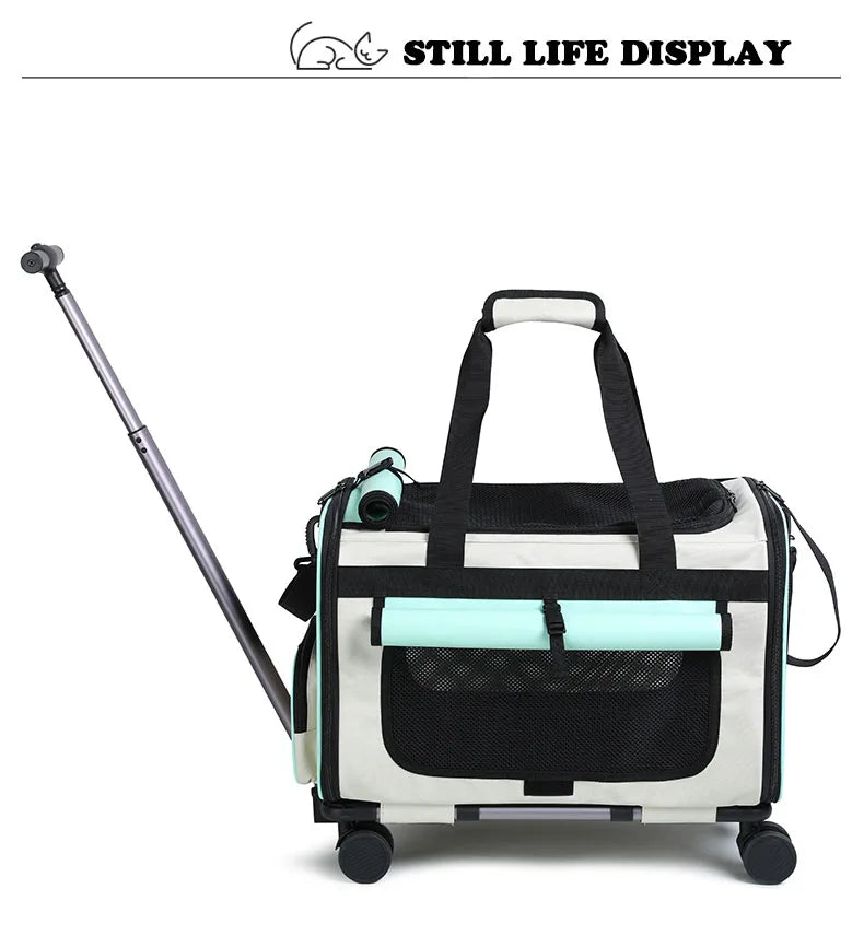 Sac de transport pliable pour animaux de compagnie — Grande valise de voyage détachable