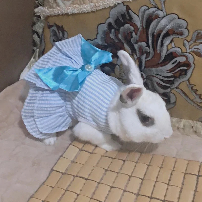 Robe de princesse pour animaux de compagnie - Robe d'été à rayures et carreaux avec nœud pour chats et petits chiens