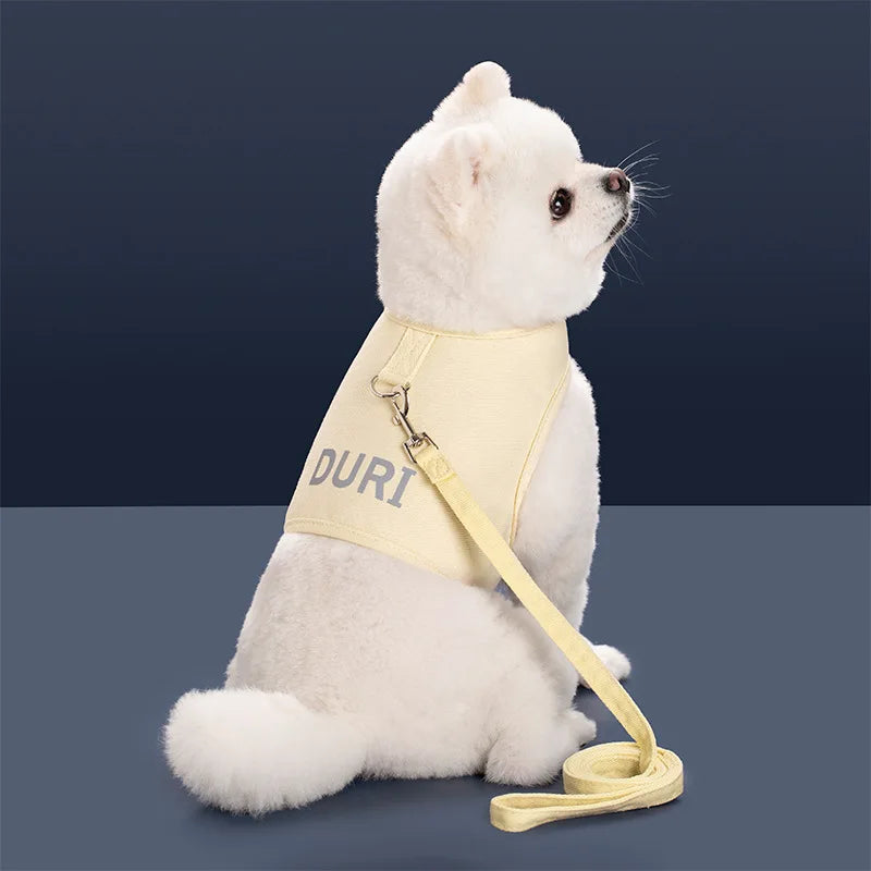 Harnais réglable anti-évasion et laisse pour petits chiens et chats