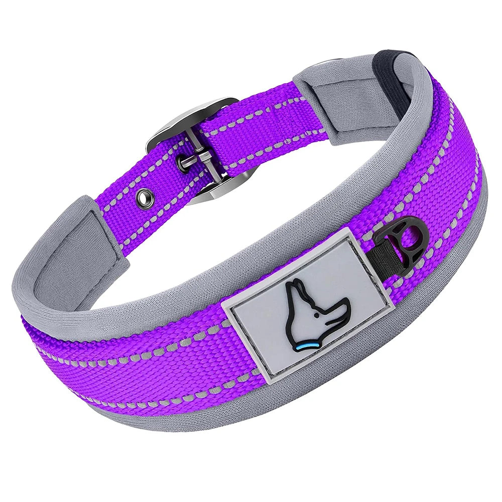 Padded Reflective Nylon Dog Collar – Adjustable for Small, Medium & Large Dogs