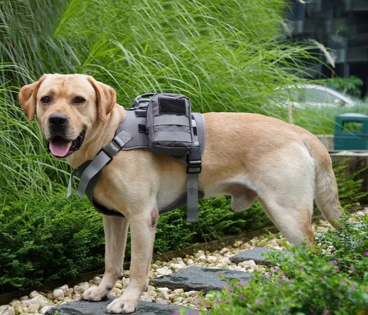 Harnais sac à dos pour chien avec sangles réglables et poches latérales